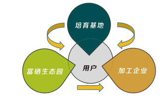 富硒食品連鎖新零售 互聯網分享經濟思維驅動產業變革